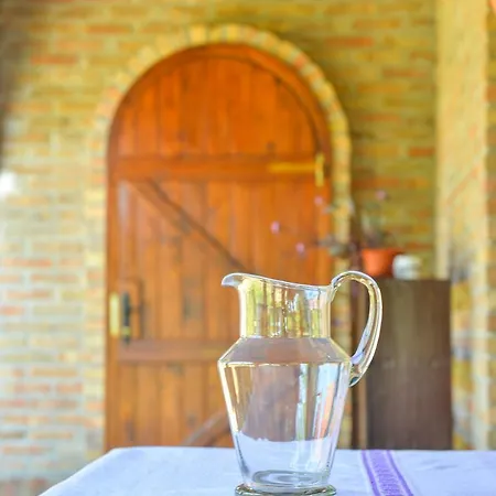 Country house Etno Dom 